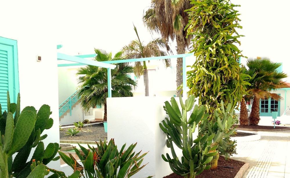 Smy Tahona Fuerteventura Hotel Caleta De Fuste Bagian luar foto